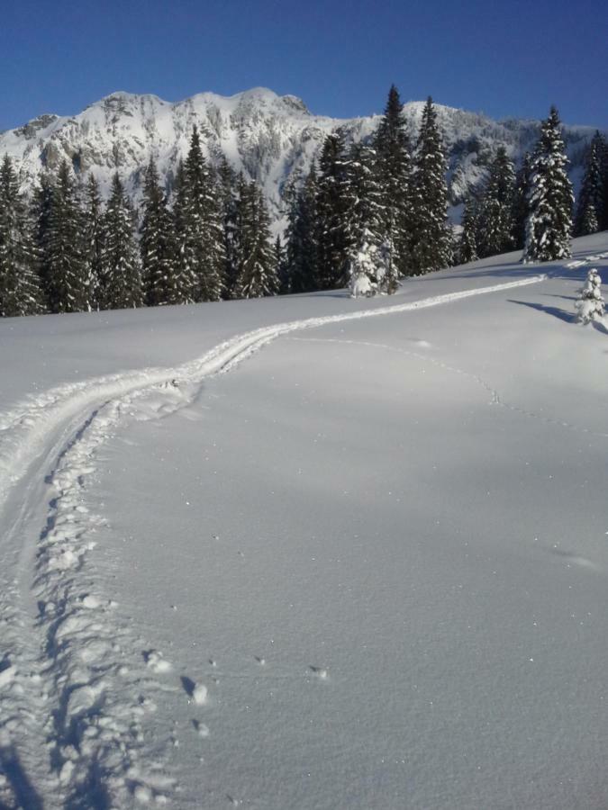 Alpenappartement Kleiner Tannheim Exteriör bild